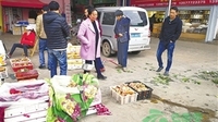 头水“见手青”上市 最贵400元一公斤