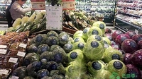 通海蔬菜直供北京超市