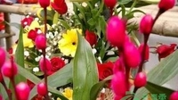 建设“世界春城花都”昆明这样做