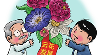 新模式激活云花新动能
