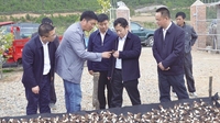 大理切实解决产业扶贫面临的困难和问题
