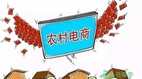 电商深度参与农村产业变革