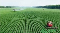 玉溪市江川农业综合开发助力强农富民