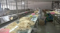 今年一季度农副食品加工业成通海工业经济增长主力军