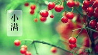 21日10时15分“小满”：雨打芭蕉，梅黄杏肥
