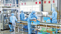 镇雄打造板栗深加工全产业链 生产有机生态农产品