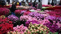 斗南花卉交易市场变化三十年