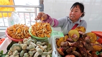 云南野生菌飘香上市