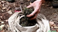 这地方每一道菜都可能是一剂药