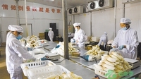 陆良专业合作社做大做强特色产业 牵手农民增收致富