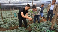  文山市生物医药发展取成效