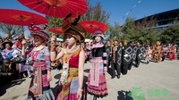 昭通永善：马楠花山节实现旅游综合收入达600余万元
