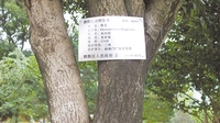 古树名木换新“身份证”