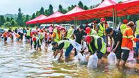 20万尾抗浪鱼苗增殖放流抚仙湖