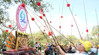 漾濞举行核桃“开竿”仪式祈求丰收