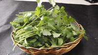 昆明蔬菜价格齐上涨 香菜28元一公斤