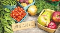 云南鼓励企业投资绿色食品产业