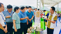 中国·砚山蔬菜园艺博览会举办