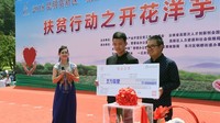 东川开花洋芋来昆摆下长街宴