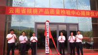 云南唯一核桃产品质检中心在大理漾濞揭牌
