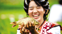 寻甸县“2018年花山节暨第二届摸鱼节”将启动