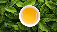 茶叶的七要素有哪些？
