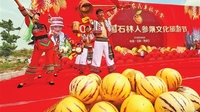 首届昆明石林农民丰收节开幕