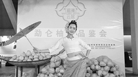 “柚惑”品出傣乡绿色文化