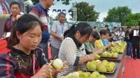 禄丰县倾力打造“水果文化小镇”