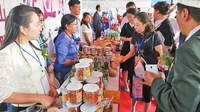 中国保山腾冲第六届边交会成果丰硕
