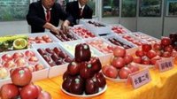 苹果展销会吸引超百家果商到昭参展