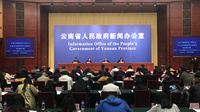 “永不落幕的南博会”将亮相进博会