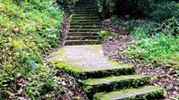 红火楚雄诗意栖居奔小康