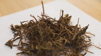 龙胆草的多种食用方式