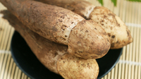 野生菌实用百科之如何挑选鸡枞菌