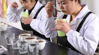 第四届云南咖啡杯中国冲煮总决赛将在临沧举办