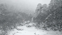 气温骤降，轿子雪山变身现实版“童话镇”