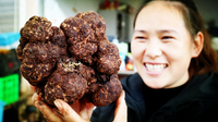 “巨无霸”黑松露亮相云南木水花野生菌交易市场