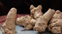 揭开商家三七打蜡的神秘面纱