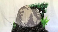 贵州省与水富市联合开展奇石拍卖