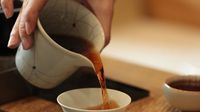 一款隐匿深山几百年的茶