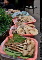 祥云县2018年野生食用菌 产值逾2亿元