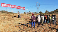 永仁宜就镇蚕桑产业扶贫劲头足