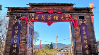 “大理茶花谷”开园