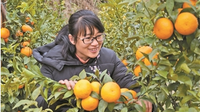 咪哩乡：引领山区农民发展特色产业