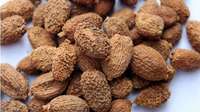 300吨鲜砂仁将成熟 昆明五华区帮村民促销