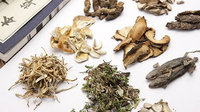 普洱传承发展传统医药