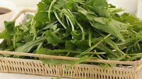 怎样食用野菜才安全？市疾控中心专家来支招