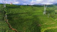台湾阿里山茶叶生产合作社一行到临沧访问交流