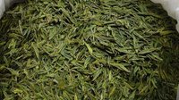 2019勐腊（国际）贡茶文化节即将起航